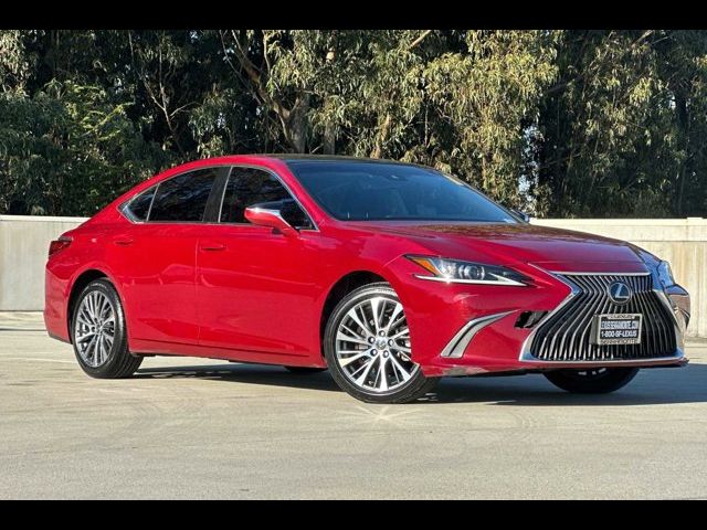 2019 Lexus ES 350