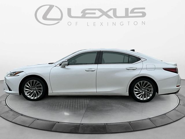 2019 Lexus ES 350 Luxury