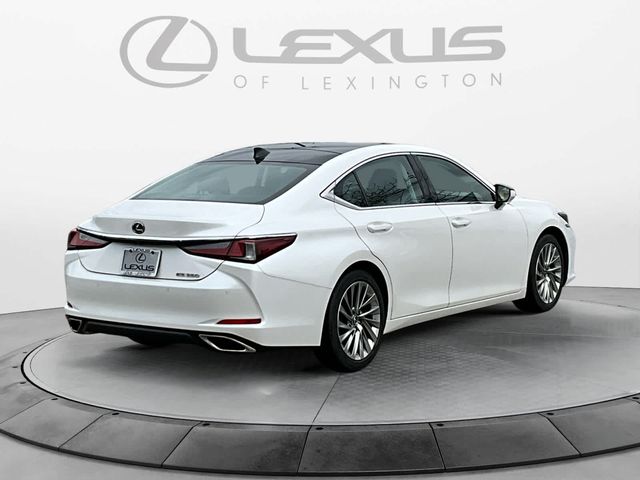 2019 Lexus ES 350 Luxury