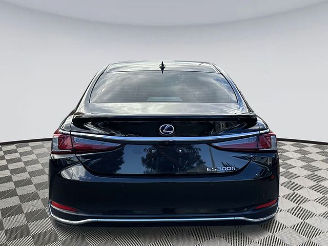 2019 Lexus ES 300h