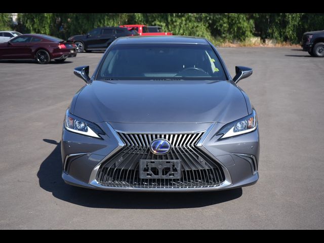 2019 Lexus ES 300h