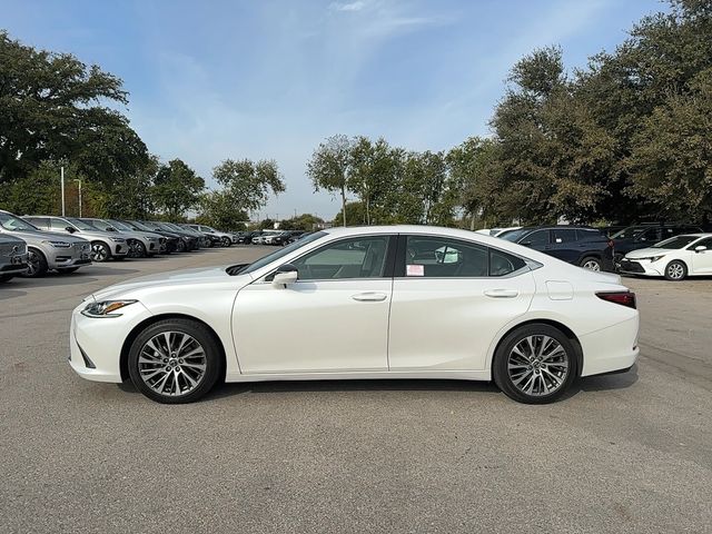 2019 Lexus ES 