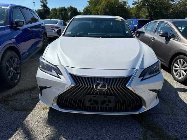 2019 Lexus ES 