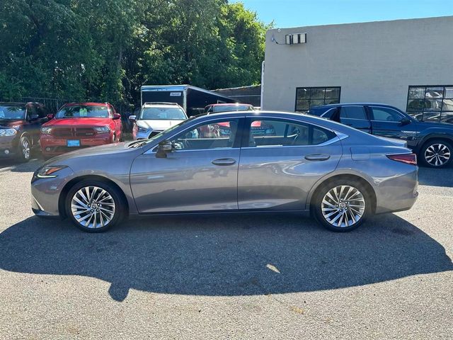 2019 Lexus ES 