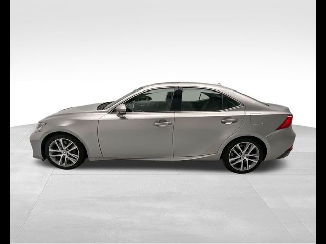 2019 Lexus IS 