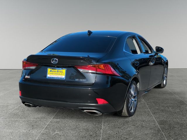 2019 Lexus IS 