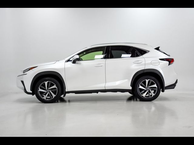 2019 Lexus NX 300