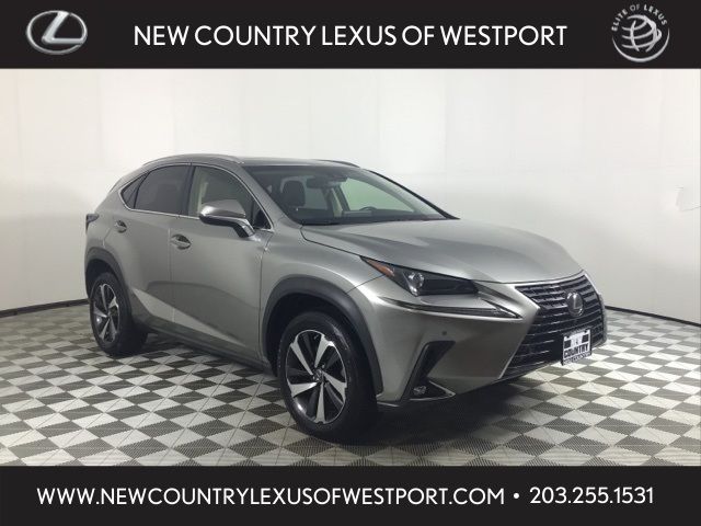 2019 Lexus NX 300