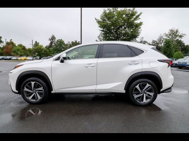 2019 Lexus NX 300 F Sport