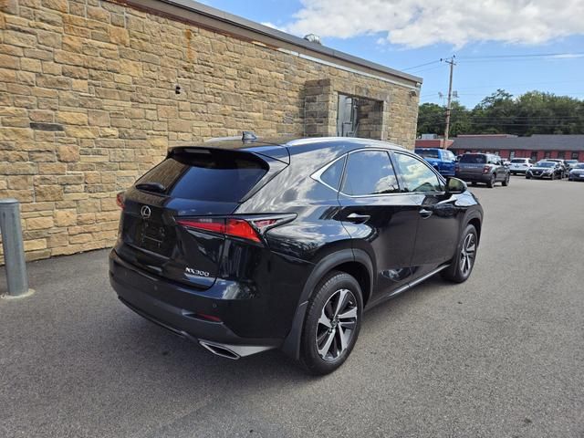 2019 Lexus NX 300 F Sport