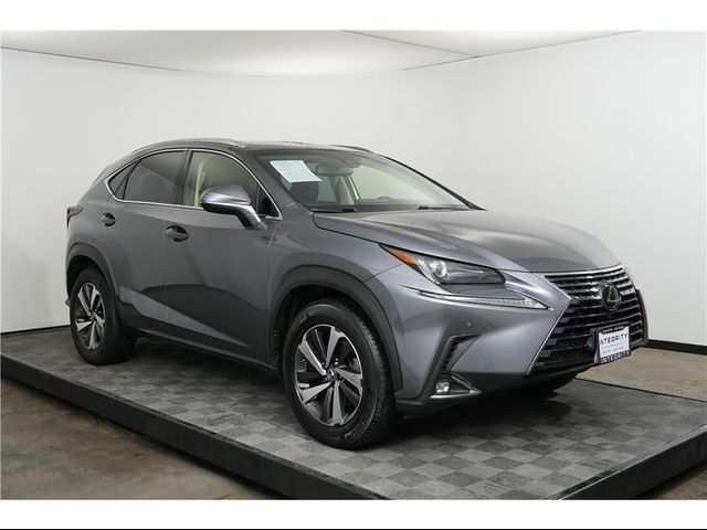 2019 Lexus NX 300 F Sport