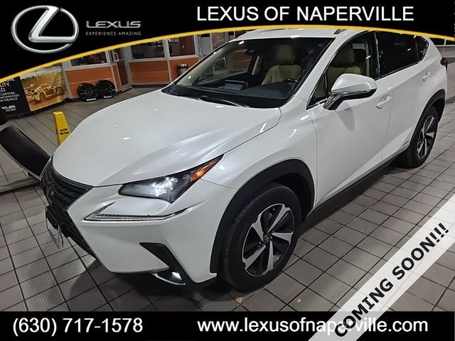 2019 Lexus NX 300h