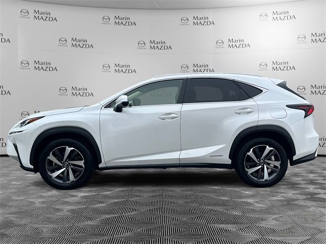 2019 Lexus NX 300h