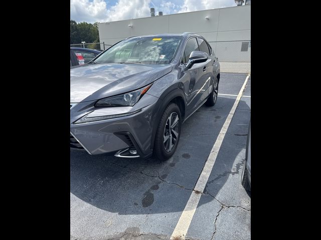 2019 Lexus NX 300h