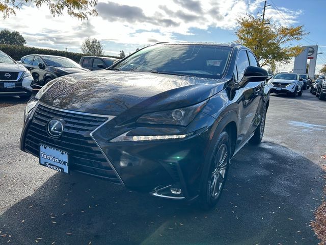 2019 Lexus NX 300h