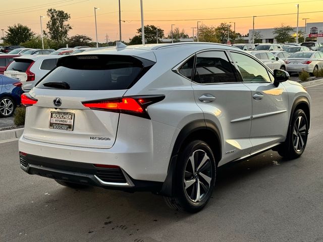 2019 Lexus NX 300h