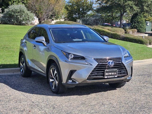 2019 Lexus NX 300h