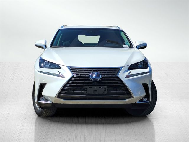 2019 Lexus NX 300h