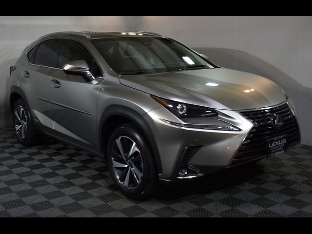 2019 Lexus NX 300h