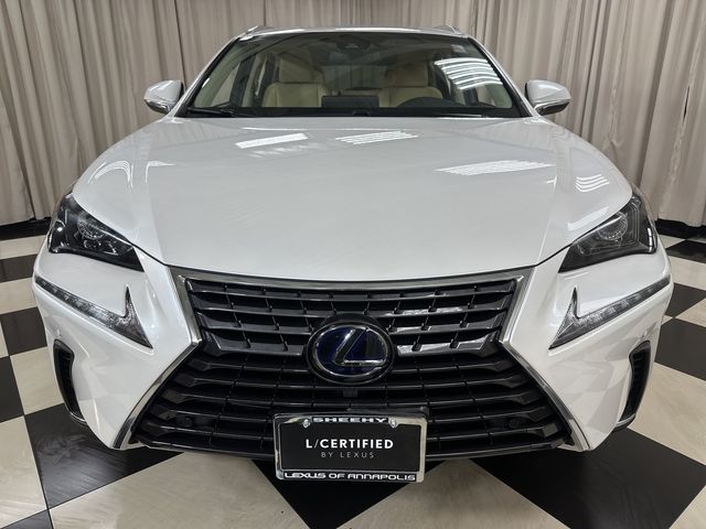 2019 Lexus NX 300h