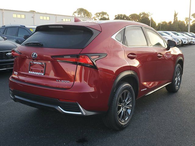 2019 Lexus NX 300h