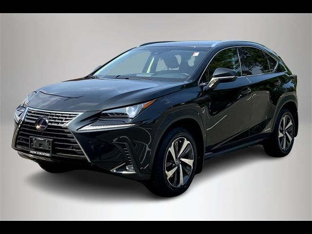 2019 Lexus NX 300h