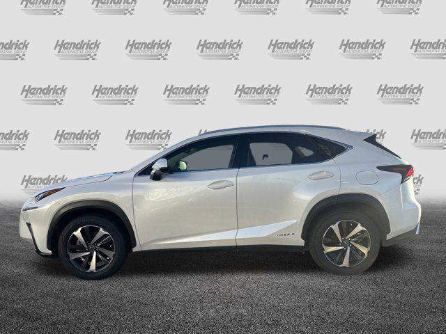 2019 Lexus NX 300h