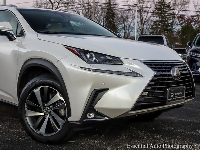 2019 Lexus NX 300h