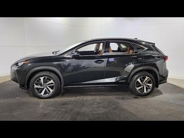 2019 Lexus NX 300h