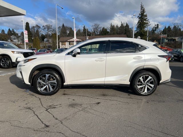 2019 Lexus NX 300h