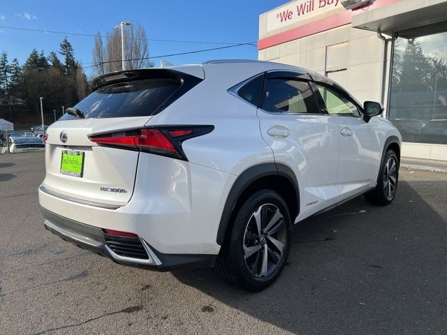 2019 Lexus NX 300h