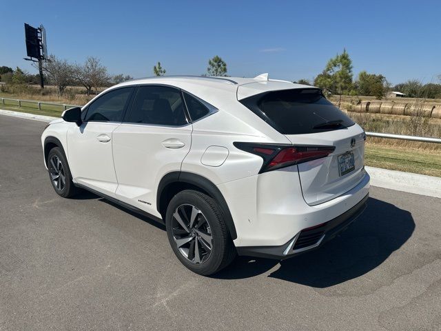 2019 Lexus NX 300h