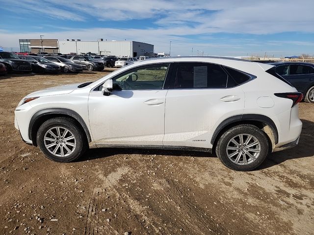 2019 Lexus NX 300h