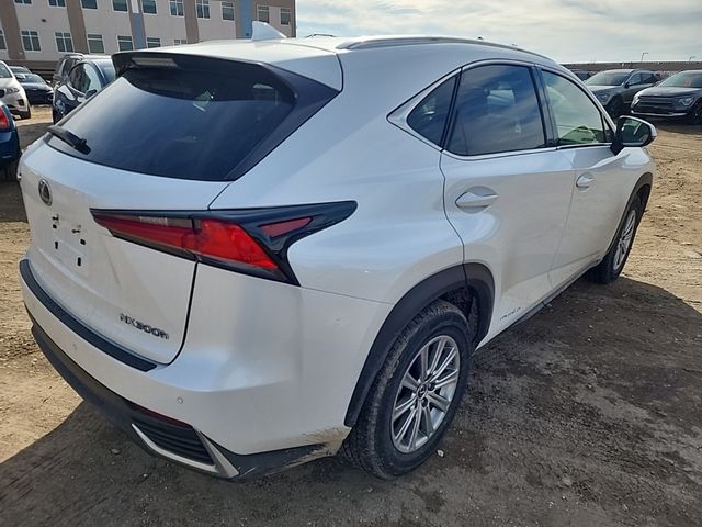 2019 Lexus NX 300h