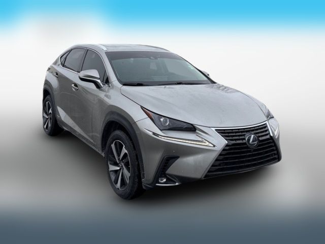 2019 Lexus NX 300h