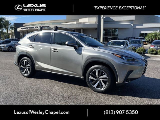 2019 Lexus NX 300h