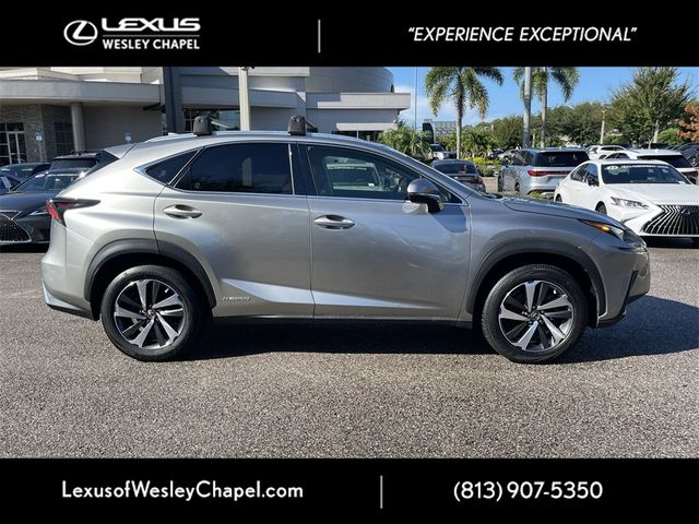 2019 Lexus NX 300h