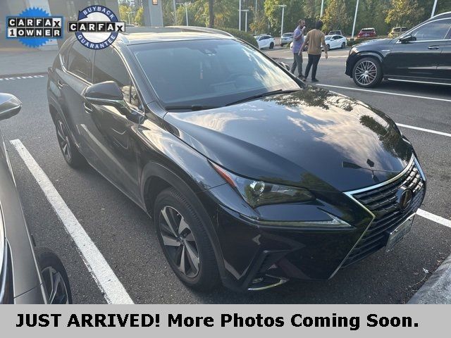 2019 Lexus NX 300h