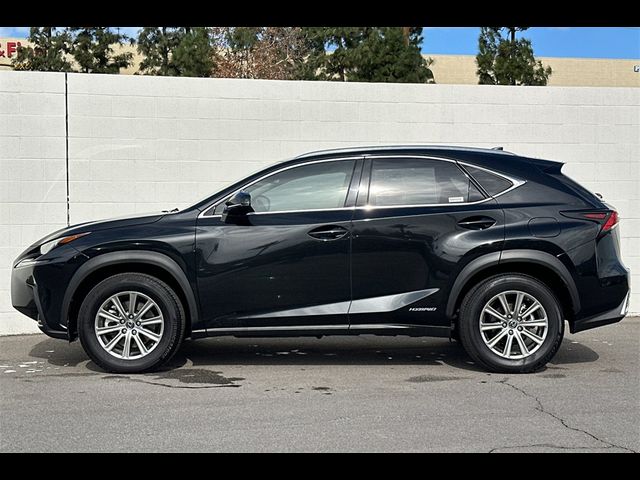 2019 Lexus NX 300h