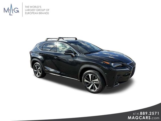 2019 Lexus NX 300h
