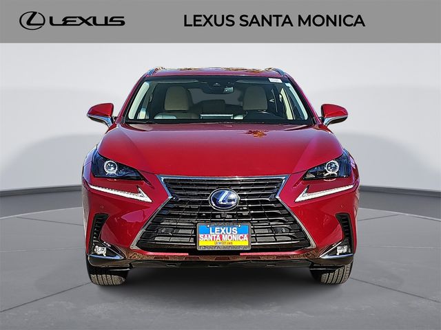 2019 Lexus NX 300h