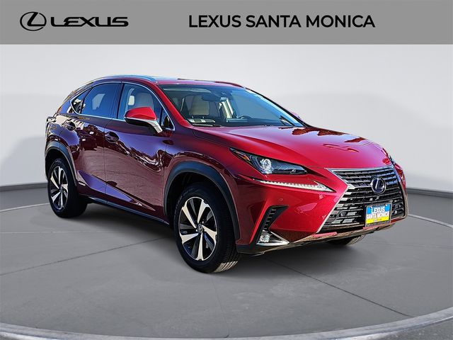 2019 Lexus NX 300h