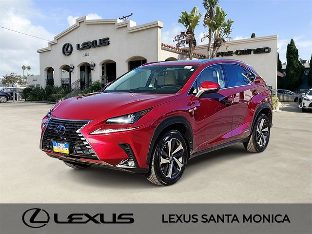 2019 Lexus NX 300h