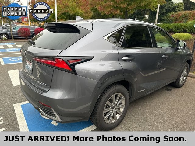 2019 Lexus NX 300h