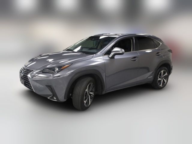 2019 Lexus NX 300h