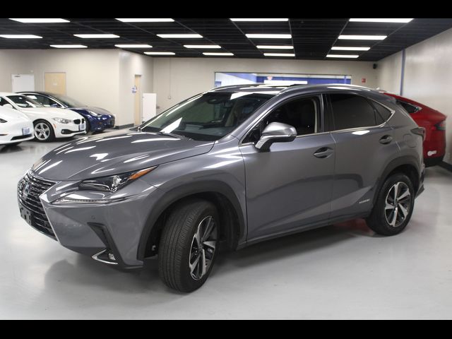 2019 Lexus NX 300h