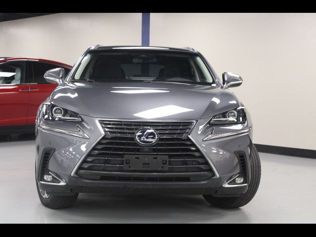 2019 Lexus NX 300h