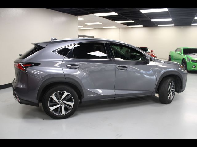 2019 Lexus NX 300h