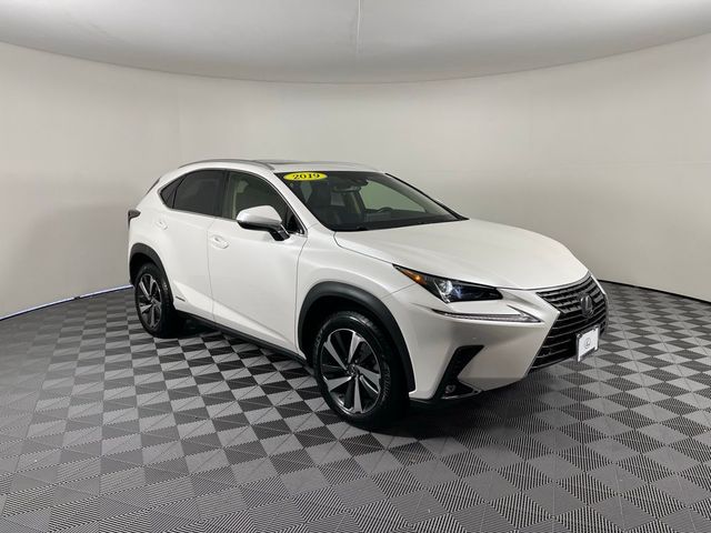 2019 Lexus NX 300h