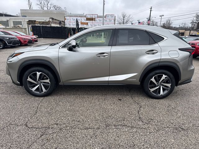 2019 Lexus NX 300h